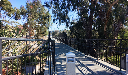 The pedestrian bridge