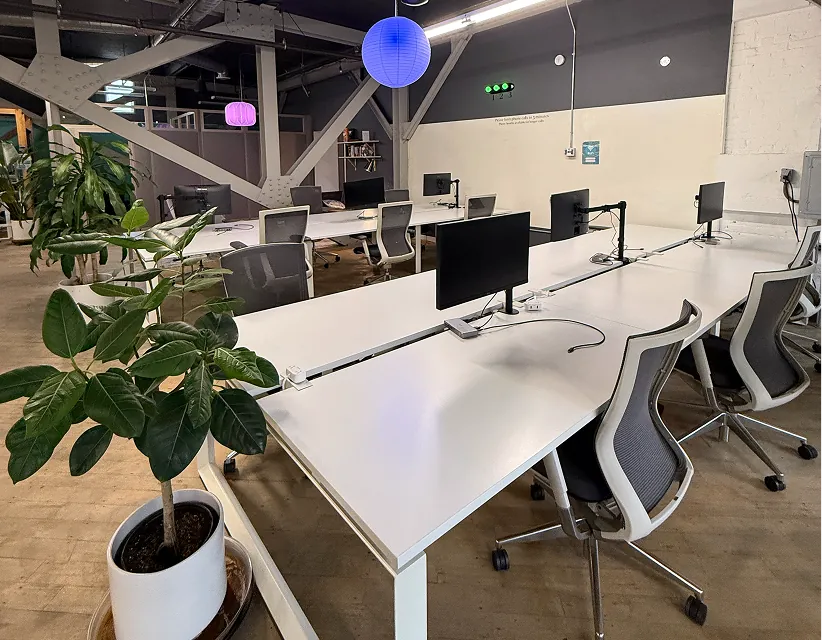 Modern open-plan office with white desks, ergonomic chairs, and potted plants under blue pendant lighting. Industrial ceiling and bright, clean workspace.